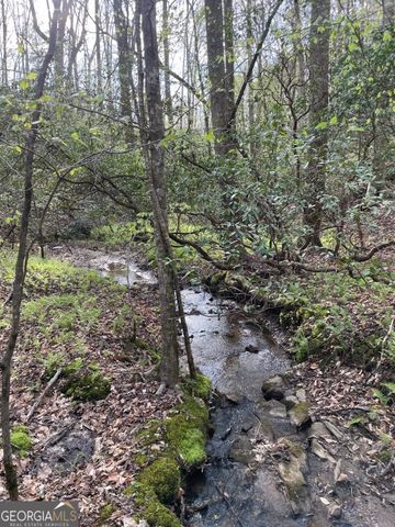 0 Shady Grove Road, Talking Rock, GA 30175