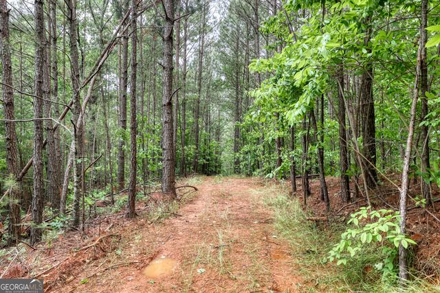 0 Shady Grove Road, Talking Rock, GA 30175