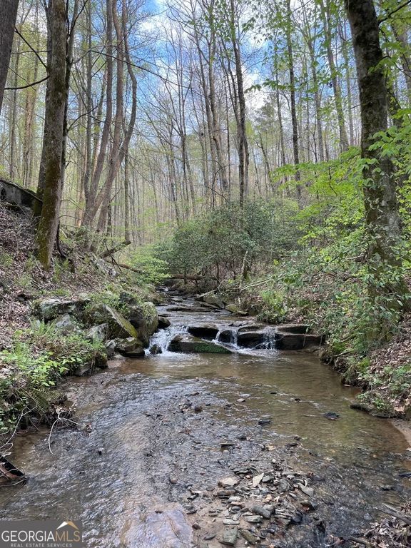 0 Shady Grove Road, Talking Rock, GA 30175