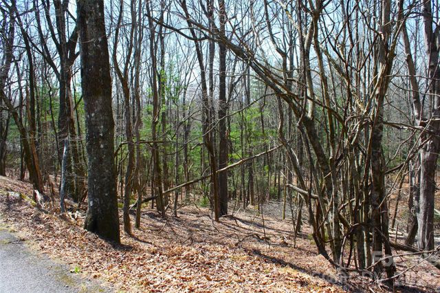 0000 Slick Rock Road, Brevard, NC 28712