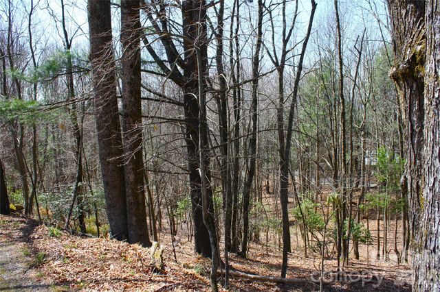 0000 Slick Rock Road, Brevard, NC 28712