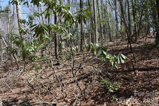 0000 Slick Rock Road, Brevard, NC 28712