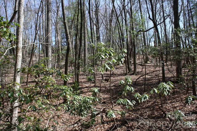 0000 Slick Rock Road, Brevard, NC 28712
