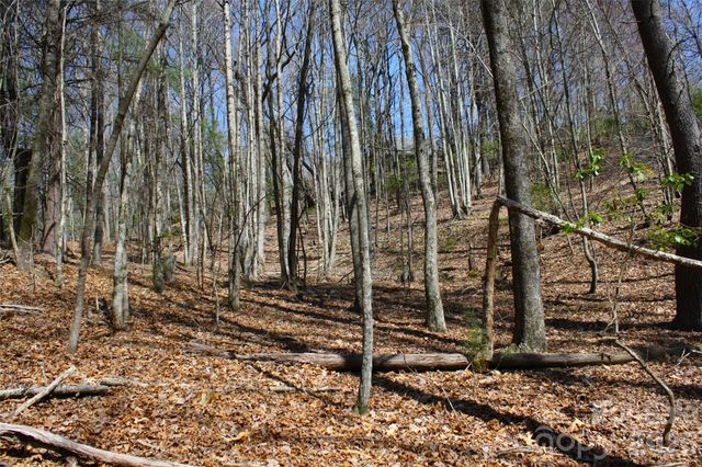 0000 Slick Rock Road, Brevard, NC 28712