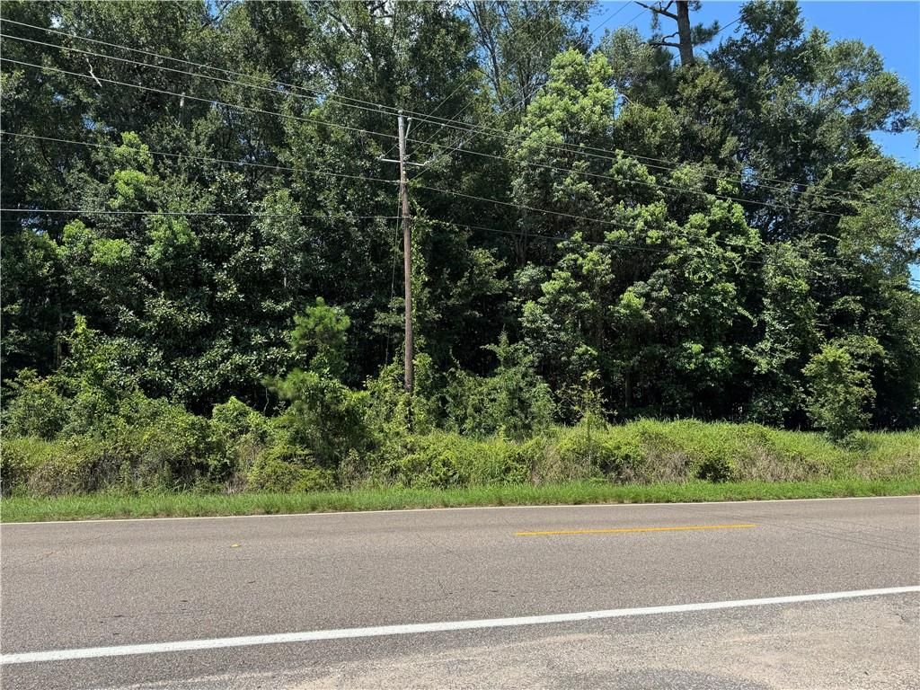 0 Saeger Road, Grand Bay, AL 36541