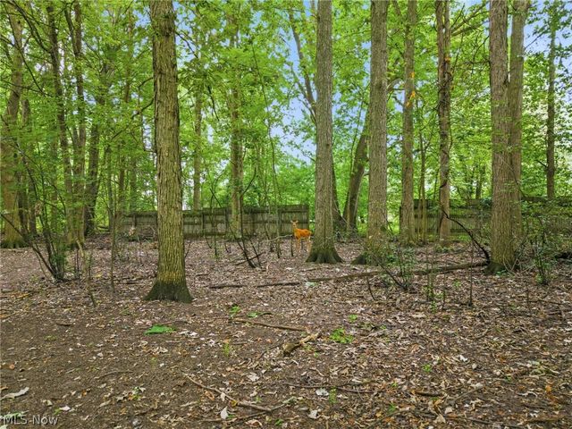 7910 Burkey Road NW, North Canton, OH 44720