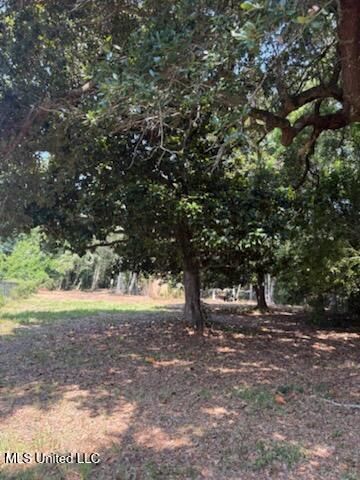 Camelia Drive, Pass Christian, MS 39571