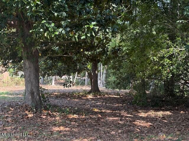 Camelia Drive, Pass Christian, MS 39571