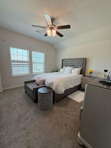 3815 Cribbing Trail, Aubrey, TX 76227