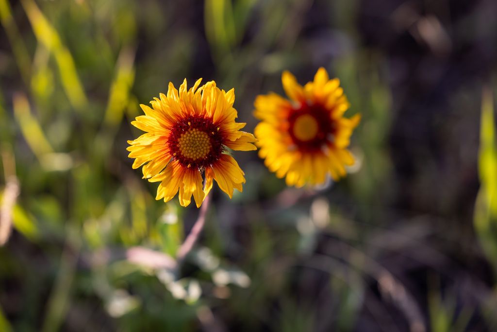 8925 LaValle Creek Road, Missoula, MT 59808 photo 100