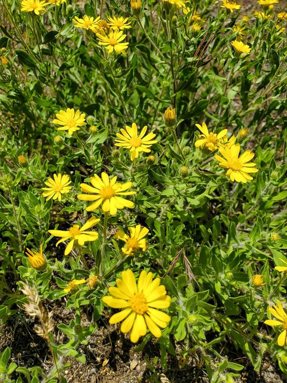 8925 LaValle Creek Road, Missoula, MT 59808 photo 102