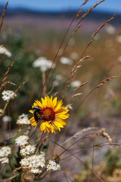 8925 LaValle Creek Road, Missoula, MT 59808 photo 103
