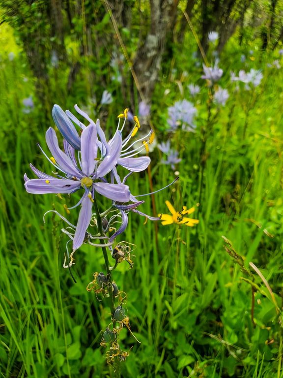 8925 LaValle Creek Road, Missoula, MT 59808 photo 104