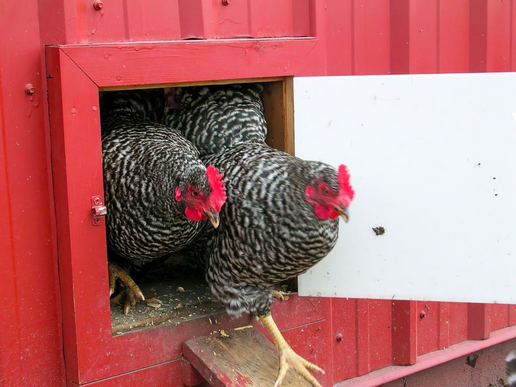 8925 LaValle Creek Road, Missoula, MT 59808 photo 63