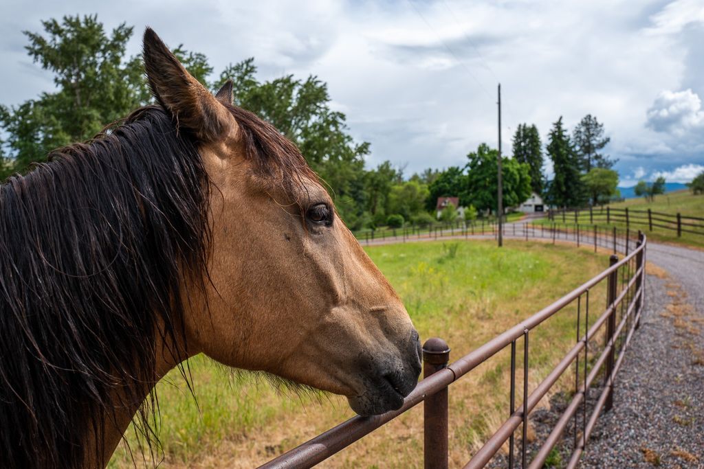8925 LaValle Creek Road, Missoula, MT 59808 photo 64