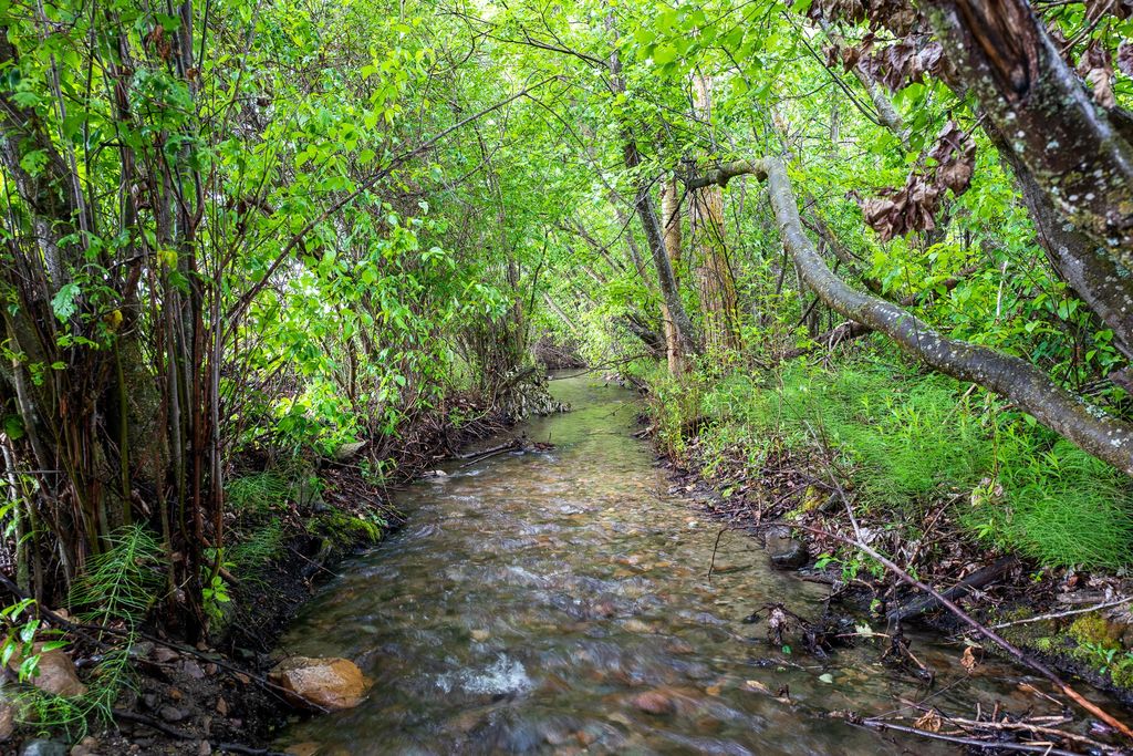 8925 LaValle Creek Road, Missoula, MT 59808 photo 71