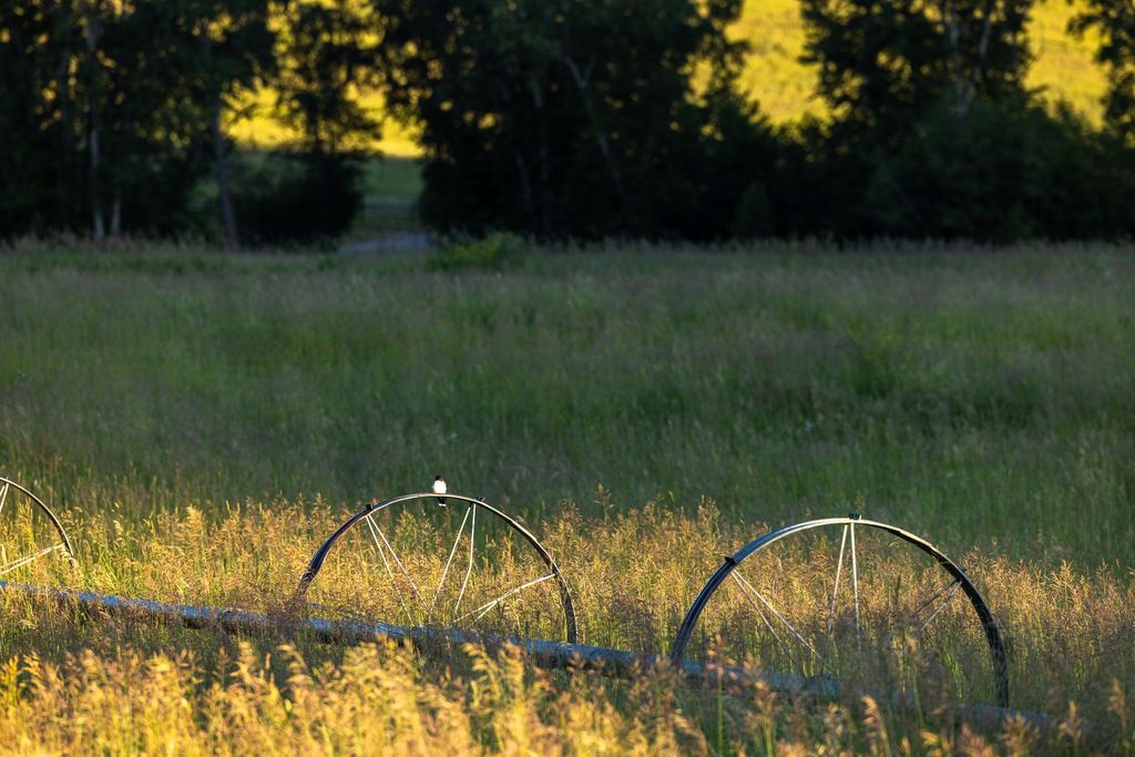 8925 LaValle Creek Road, Missoula, MT 59808 photo 74