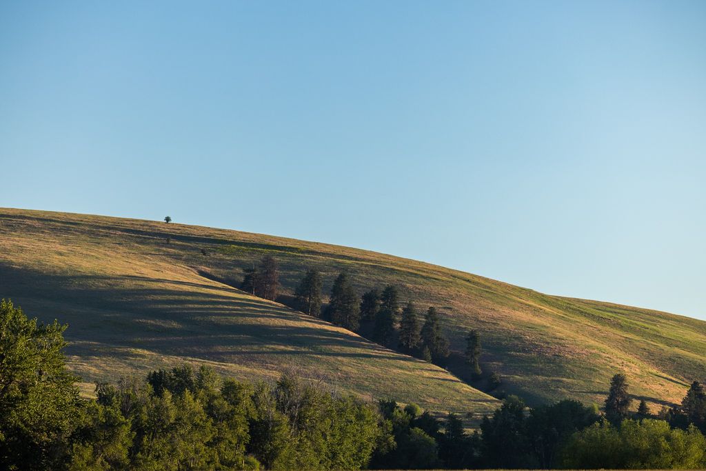 8925 LaValle Creek Road, Missoula, MT 59808 photo 83