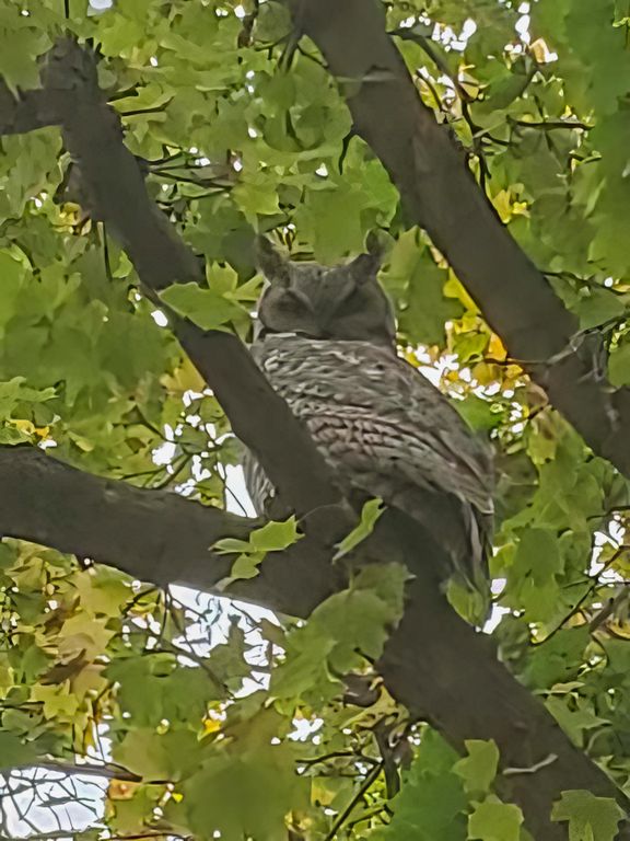 8925 LaValle Creek Road, Missoula, MT 59808 photo 92