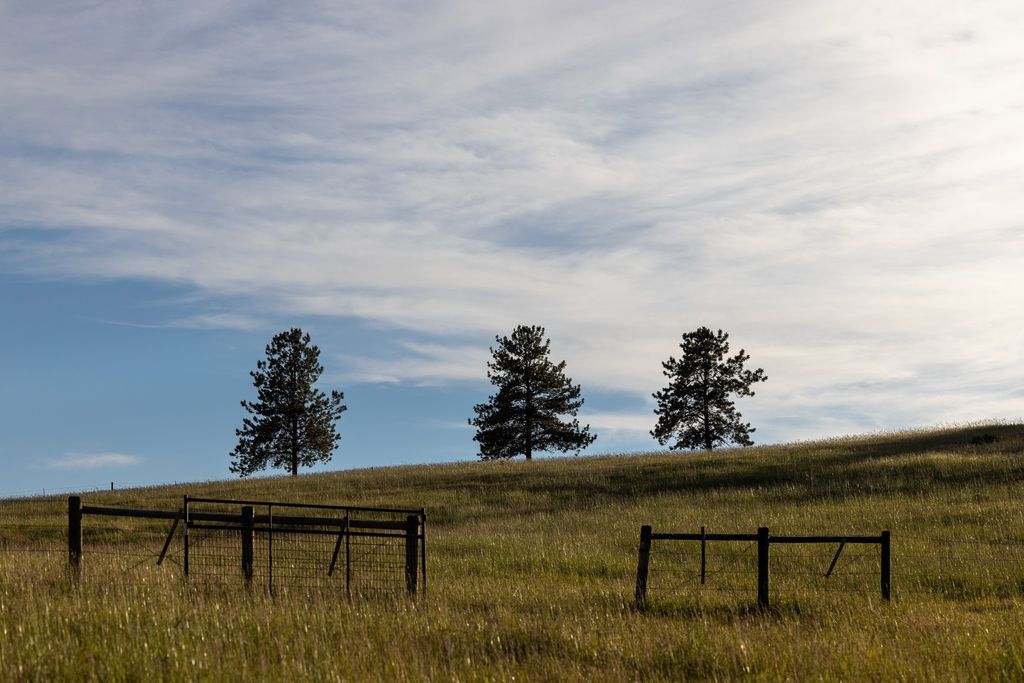 8925 LaValle Creek Road, Missoula, MT 59808 photo 94