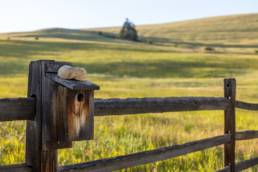 8925 LaValle Creek Road, Missoula, MT 59808 photo 95