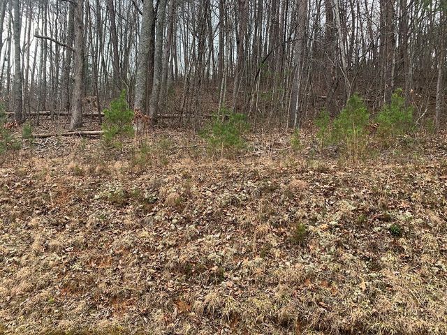 Lot 20 Wolf Ridge Lane, Murphy, NC 28906