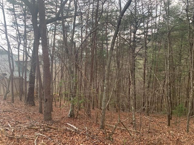 Lot 20 Wolf Ridge Lane, Murphy, NC 28906