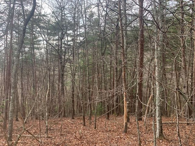 Lot 20 Wolf Ridge Lane, Murphy, NC 28906