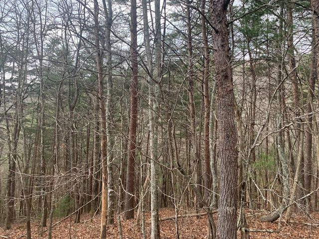 Lot 20 Wolf Ridge Lane, Murphy, NC 28906
