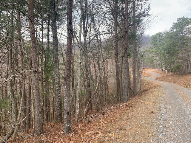 Lot 20 Wolf Ridge Lane, Murphy, NC 28906