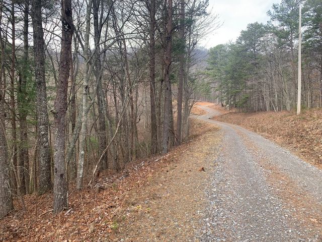 Lot 20 Wolf Ridge Lane, Murphy, NC 28906