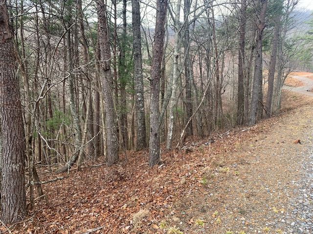Lot 20 Wolf Ridge Lane, Murphy, NC 28906