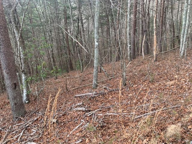 Lot 20 Wolf Ridge Lane, Murphy, NC 28906