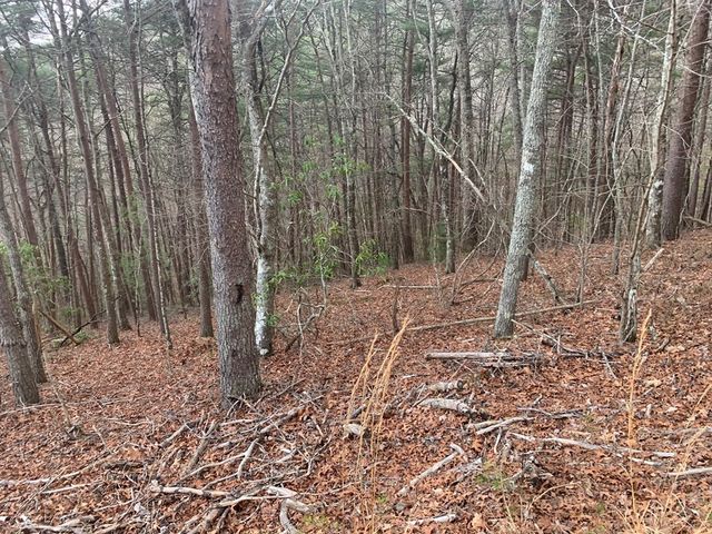 Lot 20 Wolf Ridge Lane, Murphy, NC 28906