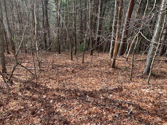 Lot 20 Wolf Ridge Lane, Murphy, NC 28906