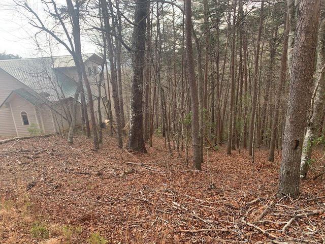 Lot 20 Wolf Ridge Lane, Murphy, NC 28906