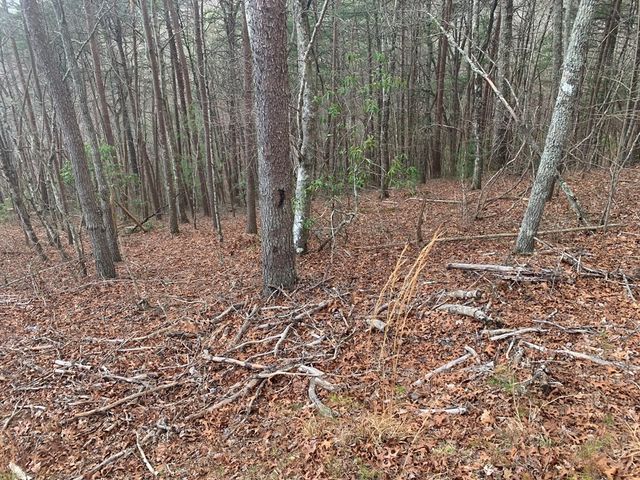 Lot 20 Wolf Ridge Lane, Murphy, NC 28906