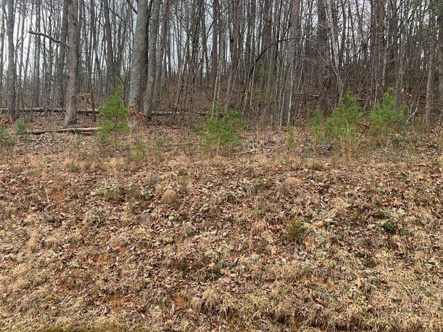 Lot 20 Wolf Ridge Lane, Murphy, NC 28906