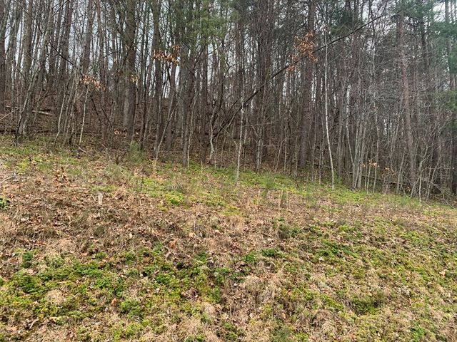 Lot 20 Wolf Ridge Lane, Murphy, NC 28906