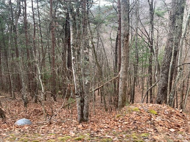 Lot 20 Wolf Ridge Lane, Murphy, NC 28906