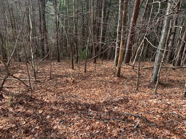 Lot 20 Wolf Ridge Lane, Murphy, NC 28906