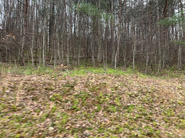 Lot 20 Wolf Ridge Lane, Murphy, NC 28906