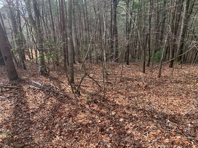 Lot 20 Wolf Ridge Lane, Murphy, NC 28906