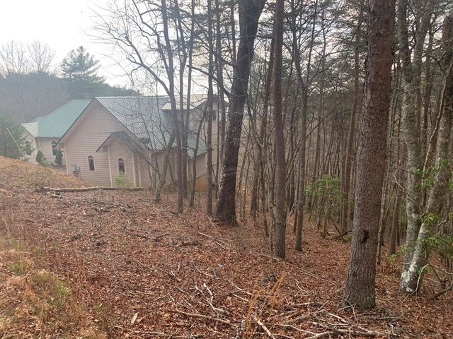 Lot 20 Wolf Ridge Lane, Murphy, NC 28906