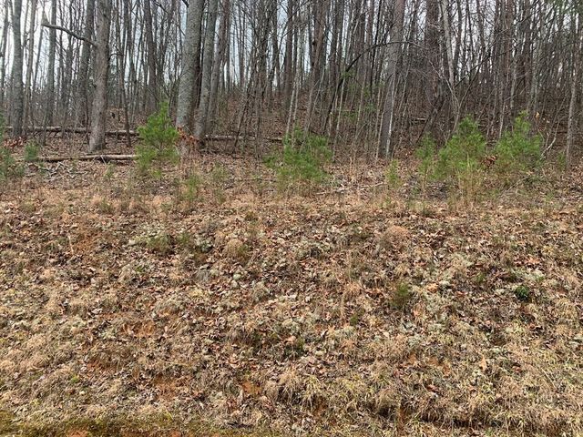 Lot 20 Wolf Ridge Lane, Murphy, NC 28906