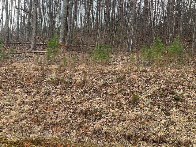 Lot 20 Wolf Ridge Lane, Murphy, NC 28906