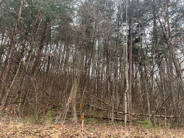 Lot 20 Wolf Ridge Lane, Murphy, NC 28906