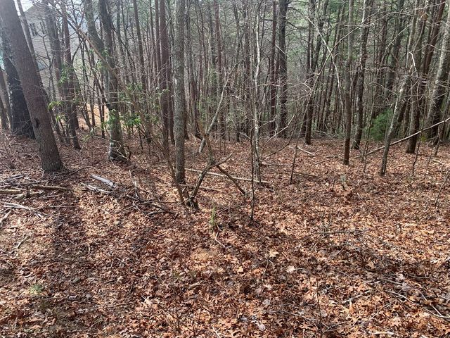 Lot 20 Wolf Ridge Lane, Murphy, NC 28906