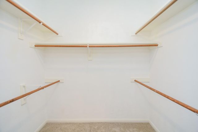 21807 Windsor Castle Drive, Spring, TX 77388