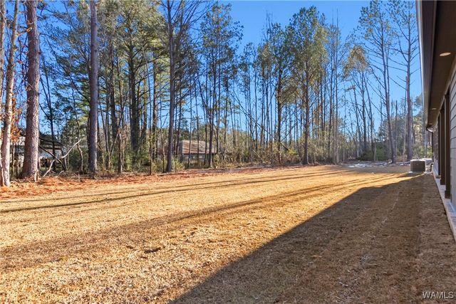 11252 Tierce Patton, Northport, AL 35475